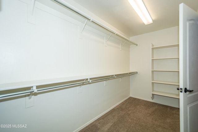 walk in closet with dark carpet