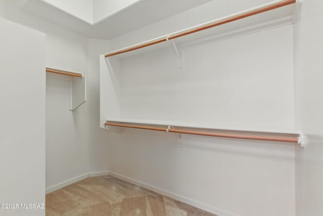 spacious closet with light carpet