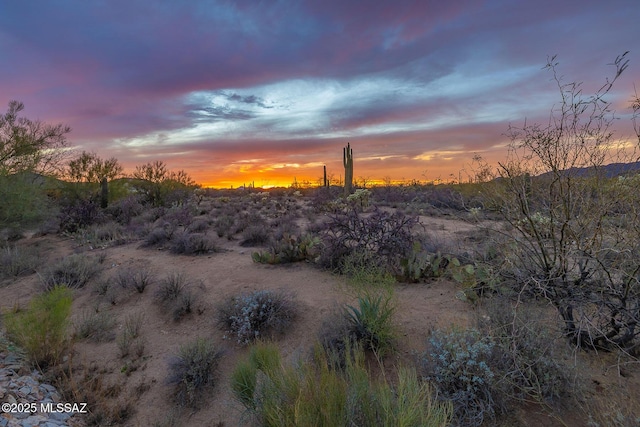 view of nature at dusk