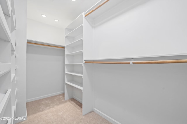 2350 E Juanita St, Tucson, AZ 85719 - spacious closet with carpet flooring