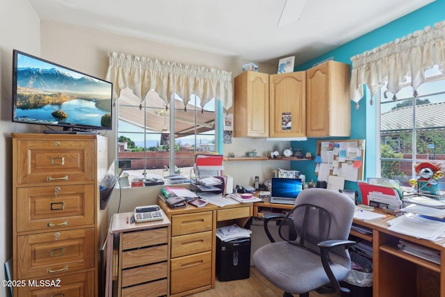 office featuring light wood-style flooring