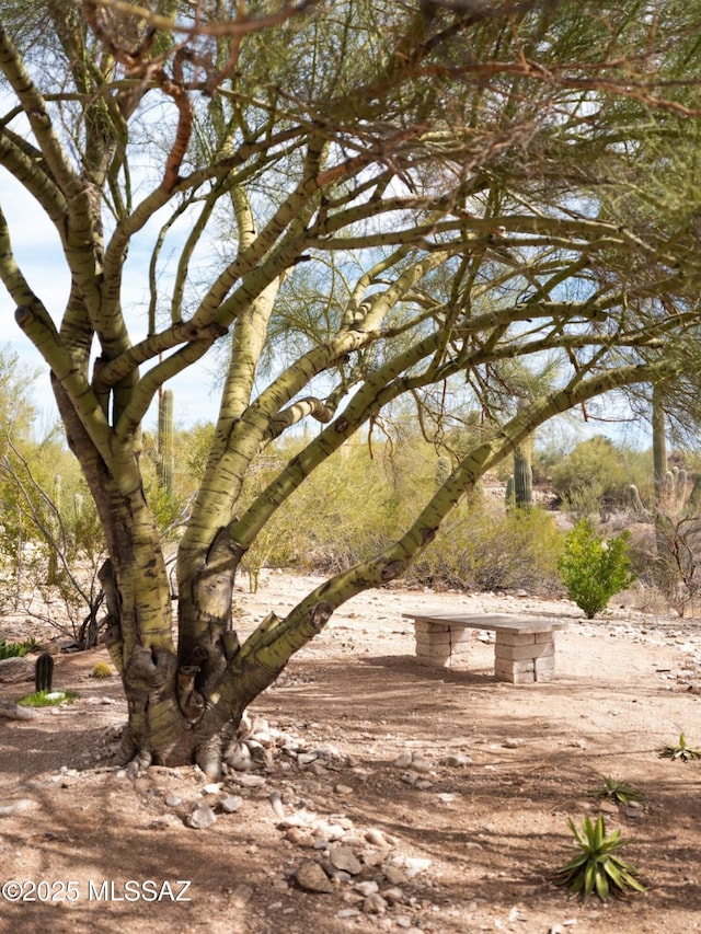 view of surrounding community