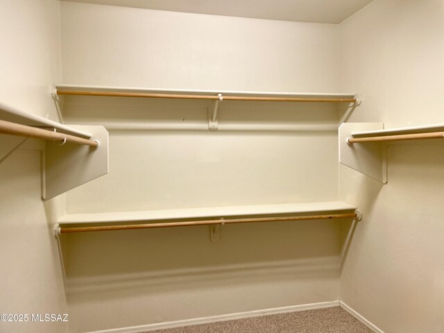 13978 N Big Wash Overlook Pl, Tucson, AZ 85739 - walk in closet featuring carpet floors