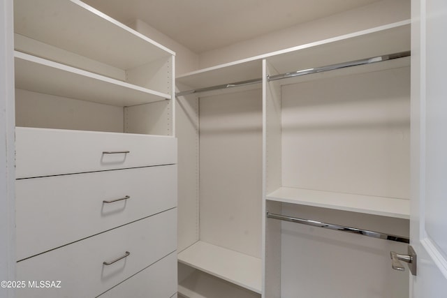 3053 W Lobo Rd, Tucson, AZ 85742 - view of walk in closet