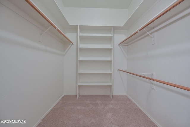 walk in closet with carpet floors