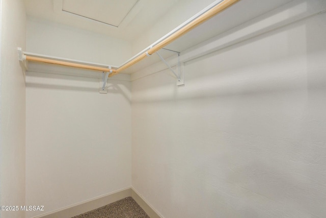 spacious closet featuring carpet flooring and attic access