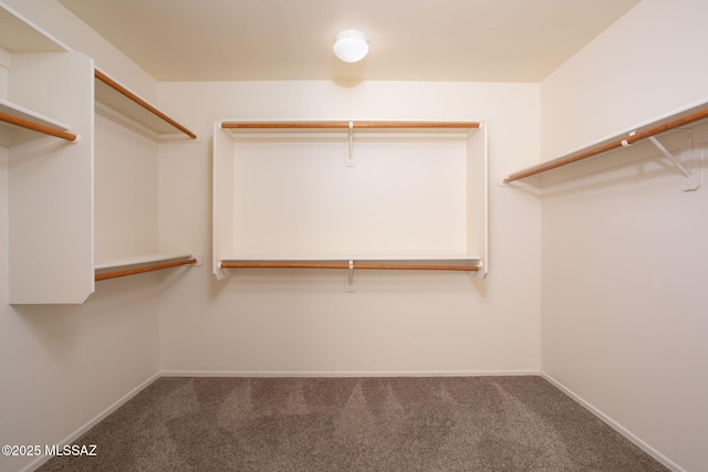154 W Calle Patio Lindo, Sahuarita, AZ 85629 - spacious closet with carpet floors