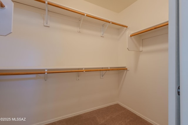 walk in closet with carpet