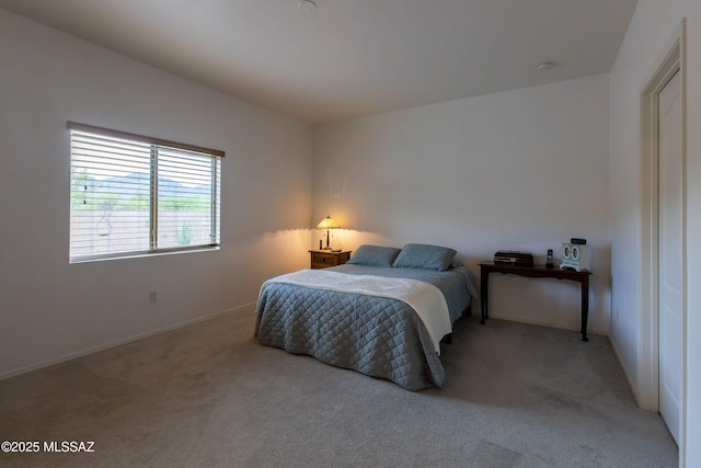14938 N Gwynns Run Dr, Tucson, AZ 85739 - bedroom featuring light carpet and baseboards