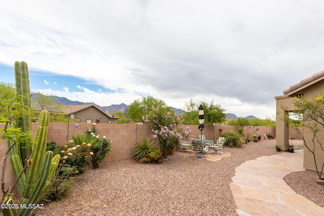 14938 N Gwynns Run Dr, Tucson, AZ 85739 - fenced backyard featuring a patio and a mountain view