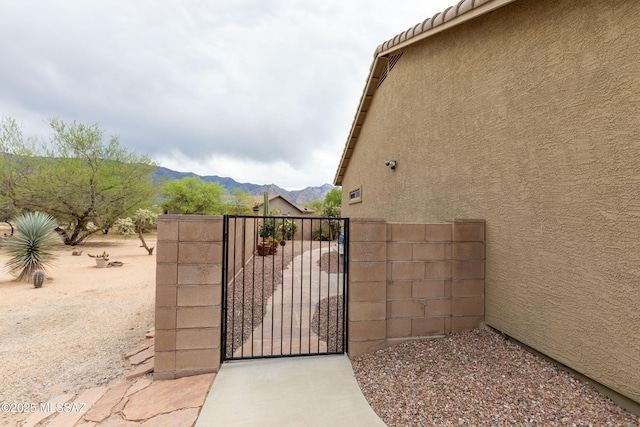 14938 N Gwynns Run Dr, Tucson, AZ 85739 - gate featuring a mountain view
