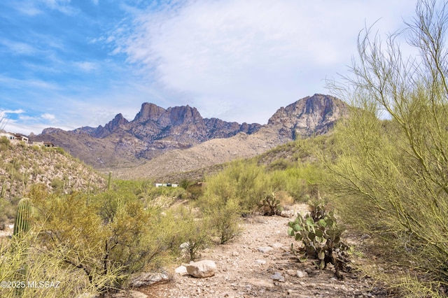 2164 E Buck Ridge Pl Unit 59, Tucson, AZ 85737