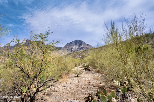 2164 E Buck Ridge Pl Unit 59, Tucson, AZ 85737