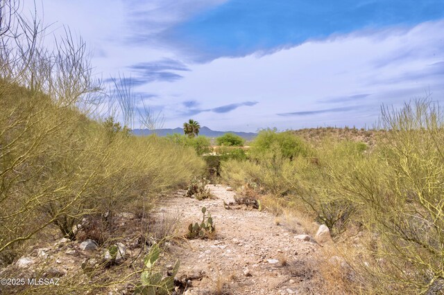 2164 E Buck Ridge Pl Unit 59, Tucson, AZ 85737