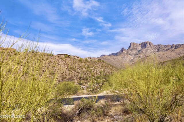 2164 E Buck Ridge Pl Unit 59, Tucson, AZ 85737