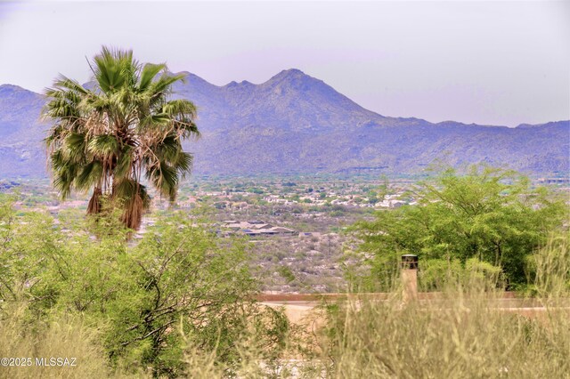 2164 E Buck Ridge Pl Unit 59, Tucson, AZ 85737