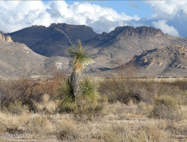 9001 E Emerald Rd Unit 87, Portal, AZ 85632