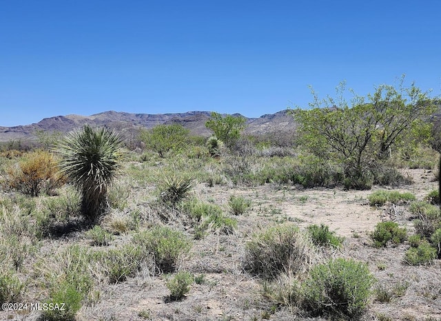 9001 E Emerald Rd Unit 87, Portal, AZ 85632