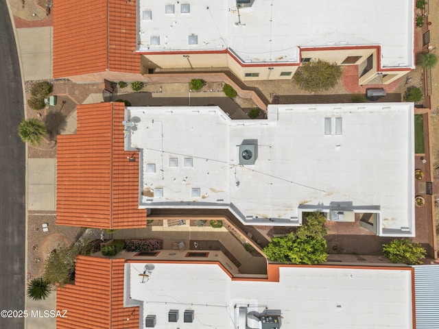 bird's eye view