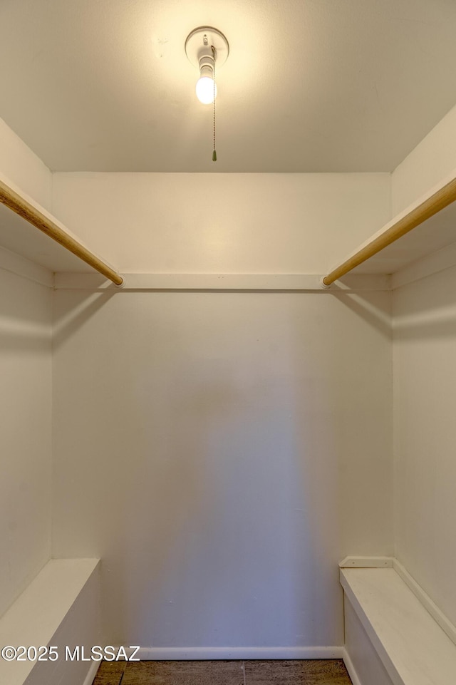view of spacious closet