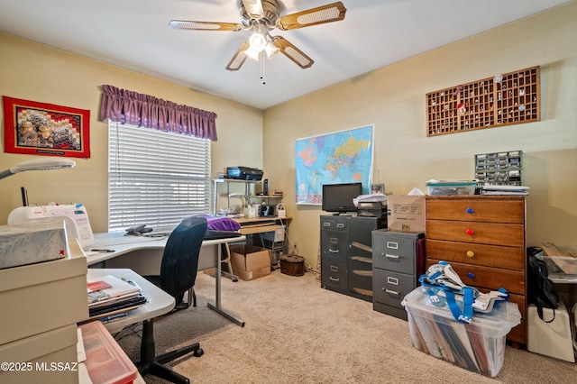 office space featuring carpet flooring and ceiling fan