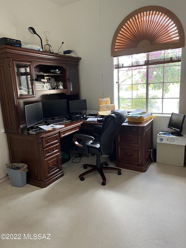 1445 W Fairway Dr, Nogales, AZ 85621 - home office with carpet floors