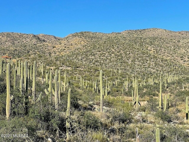 13665 Placita Del Inca E Unit 10, Tucson, AZ 85749