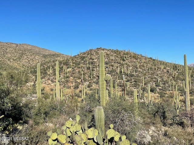 13665 Placita Del Inca E Unit 10, Tucson, AZ 85749
