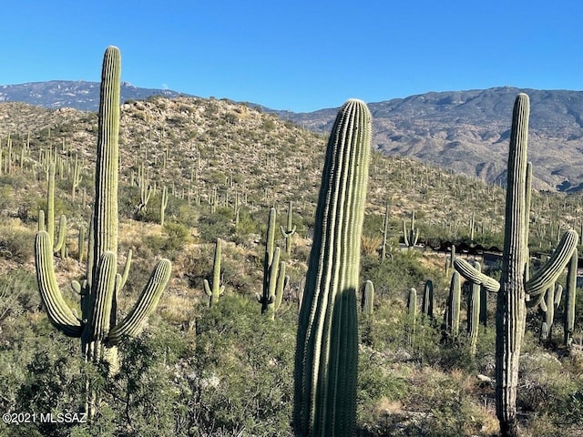 13665 Placita Del Inca E Unit 10, Tucson, AZ 85749