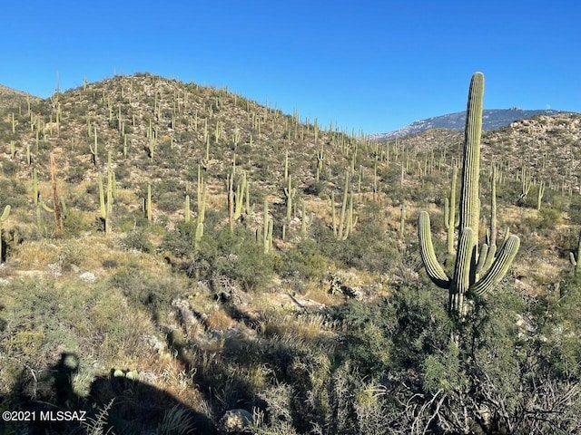 13665 Placita Del Inca E Unit 10, Tucson, AZ 85749