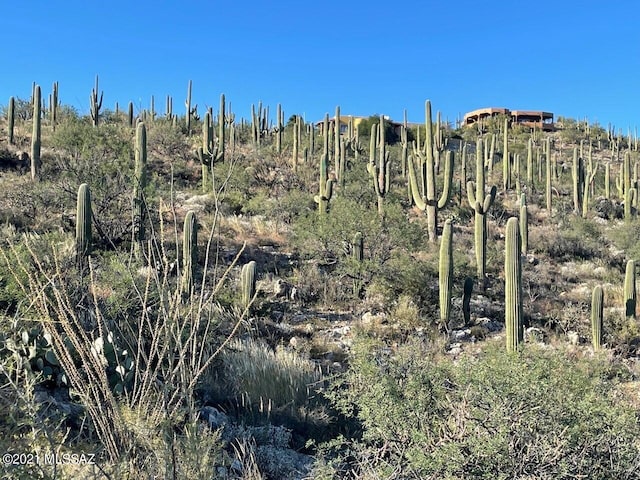 13665 Placita Del Inca E Unit 10, Tucson, AZ 85749
