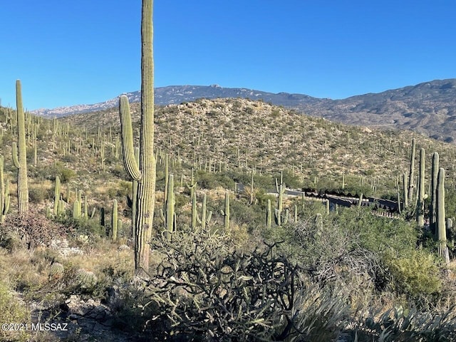 13665 Placita Del Inca E Unit 10, Tucson, AZ 85749