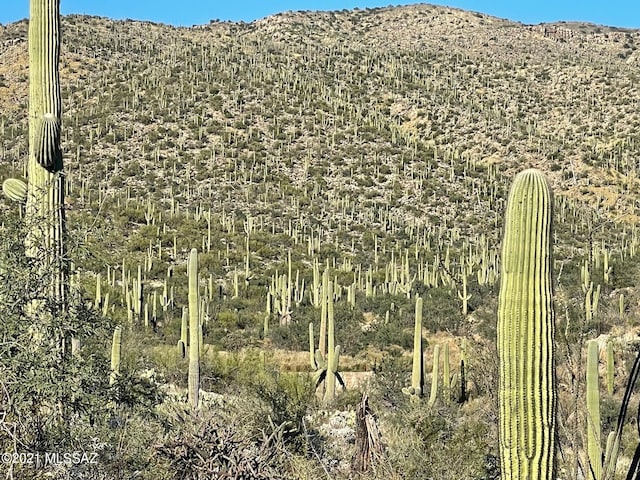 13665 Placita Del Inca E Unit 10, Tucson, AZ 85749