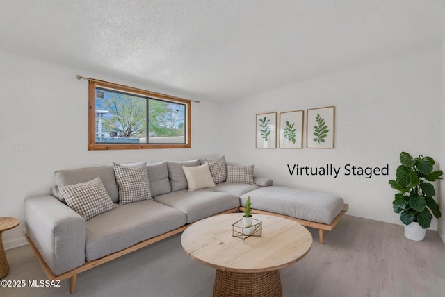 living room with wood finished floors