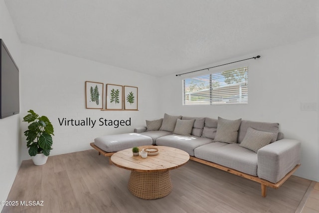 living room with wood finished floors