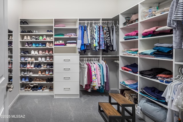 6949 W Tanner Trl, Marana, AZ 85658 - walk in closet with carpet floors