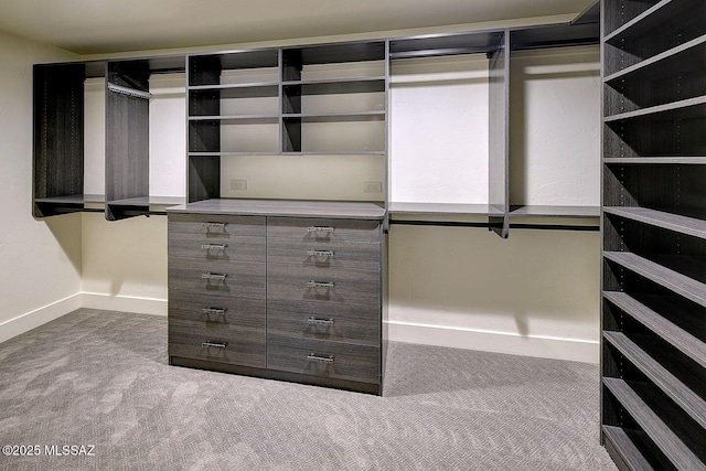 7222 E Desert Moon Loop, Tucson, AZ 85750 - walk in closet with carpet flooring