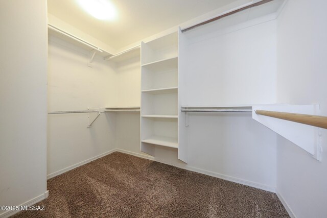 walk in closet with carpet floors