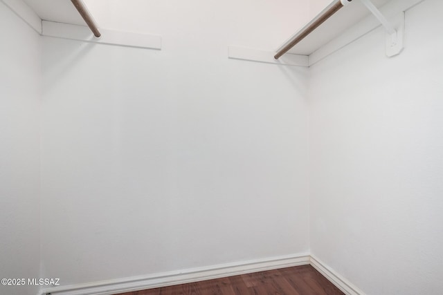spacious closet featuring dark wood-type flooring