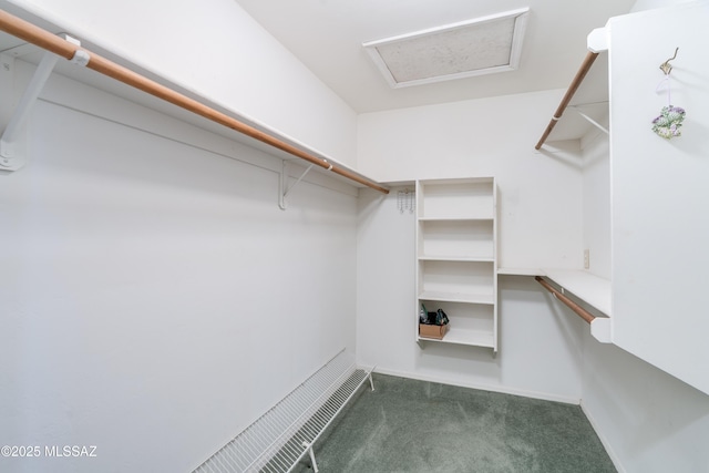 spacious closet with carpet floors