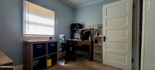 office area with carpet flooring and ornamental molding