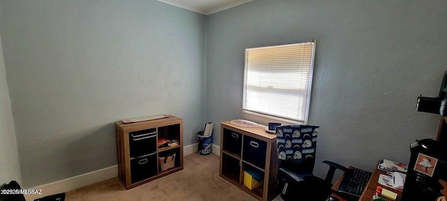 miscellaneous room featuring baseboards and light carpet
