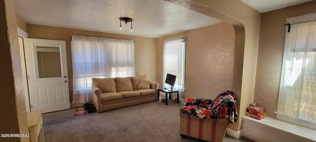 living room with a textured ceiling, a textured wall, and carpet