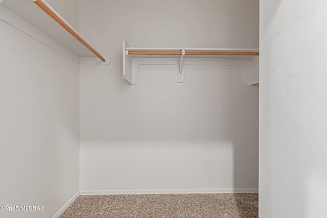 walk in closet with carpet flooring