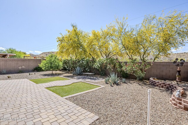view of yard with a patio area and a fenced backyard