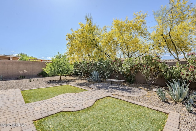 view of yard with a fenced backyard and a patio