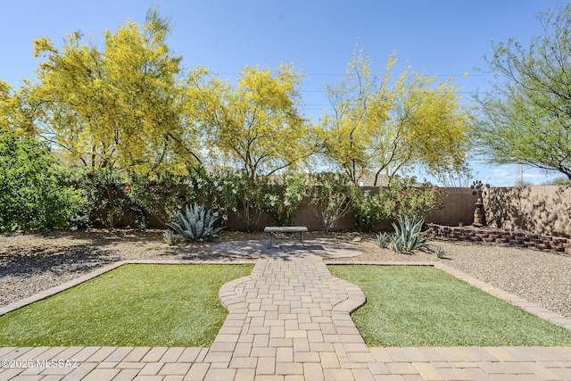 view of yard with a patio area and a fenced backyard