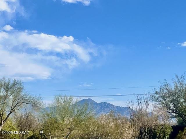 mountain view