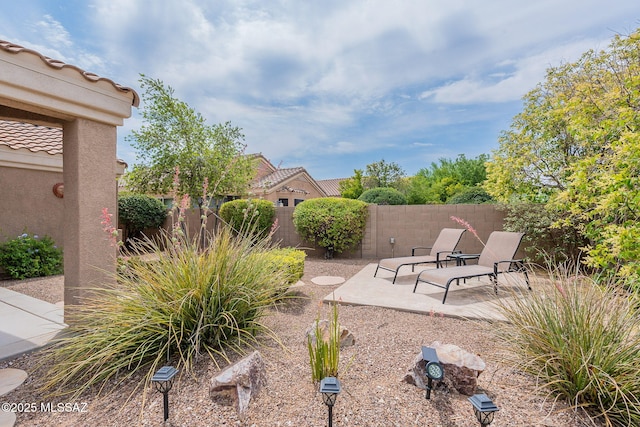 view of yard with a patio and a fenced backyard