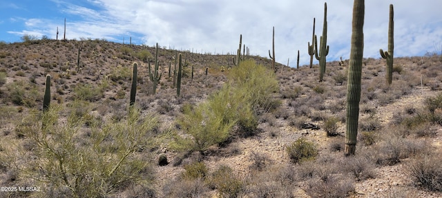 4790 N El Adobe Ranch Rd, Tucson, AZ 85745